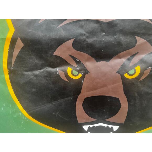 Baylor Bundle Flag Trash Can and Baseball Cap Pre-Owned in good condition - Picture 7 of 15